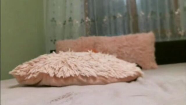 Порно сборник free porn download