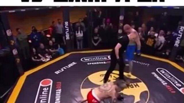 Шпак vs джигурда