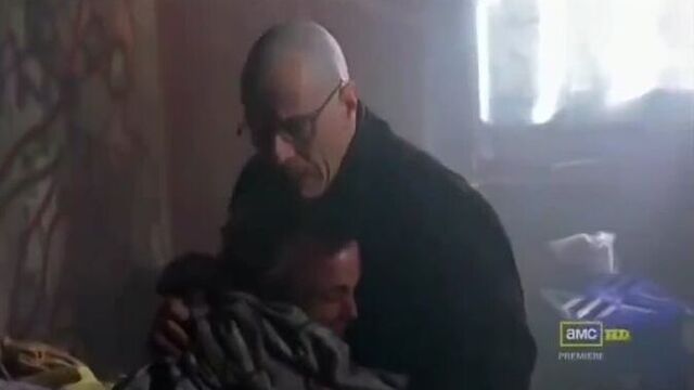 Ван де бек - тен хаг