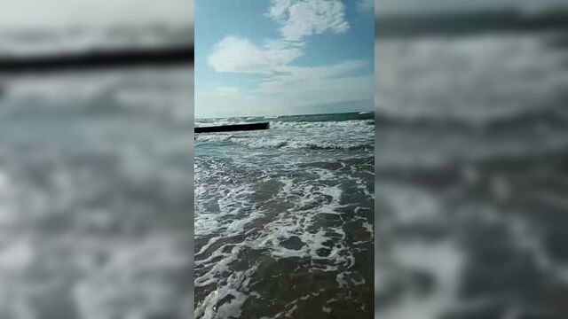 Live: отдам даром калининград ● доска ● барахолка