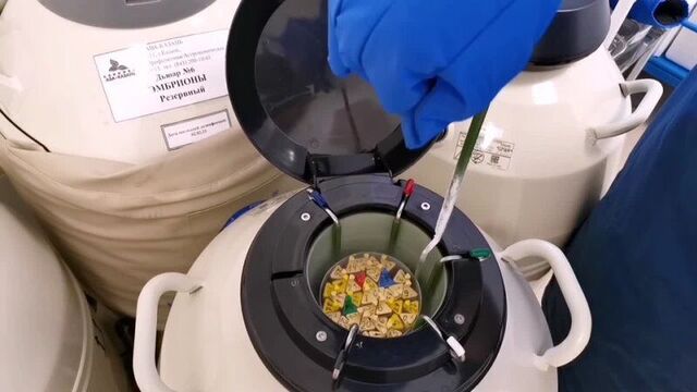 Video by клиника репродукции|скандинавия ава-петер|казань