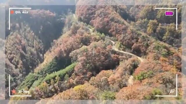 2021-11-16 инстаграм ли си ён