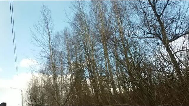 Video by подслушано конаково завидово редкино