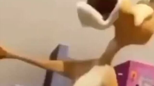 Файл смерти 4893