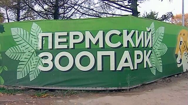 В перми начались работы по достройке зоопарка