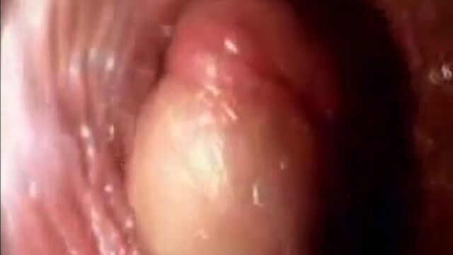 Как выглядит половой акт из нутри