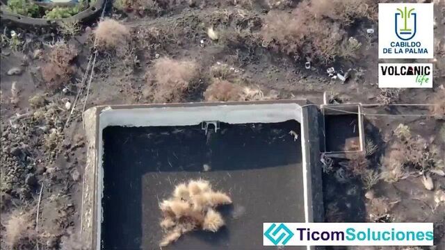 Video by авиасейлс