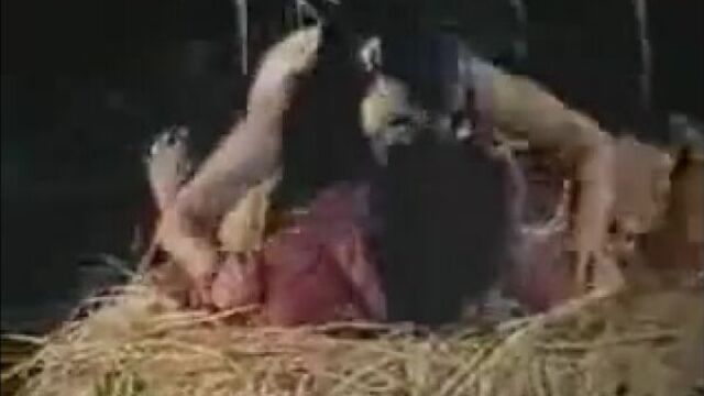 Секс в индийском кино