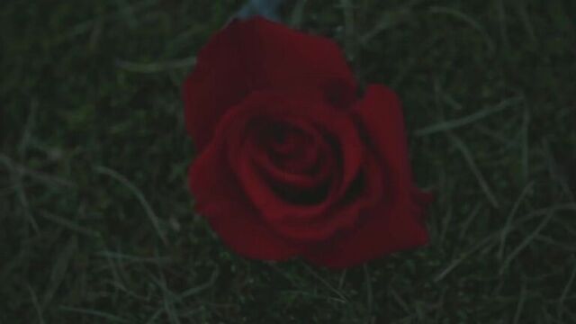 Serhat durmus la câlin скачать 8 тыс. видео найдено в яндекс.видео-serhat durmus - la câlin. зарубежный хит..mp4