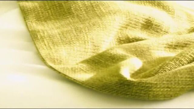 Jelena rozga - karantena (2011)