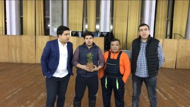 Дизайн жамоаси санкт петербург