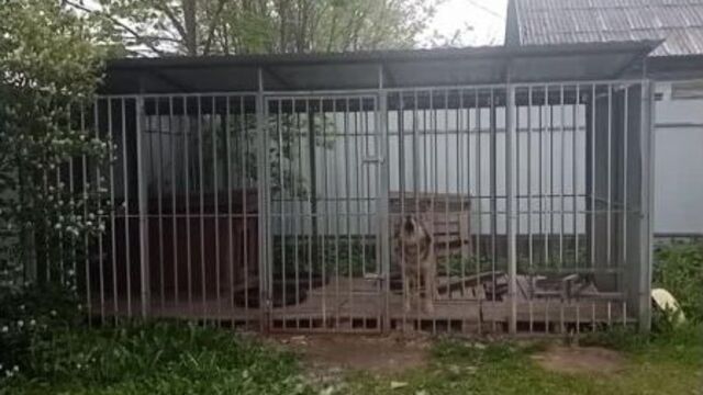 Дигл. первая встреча))