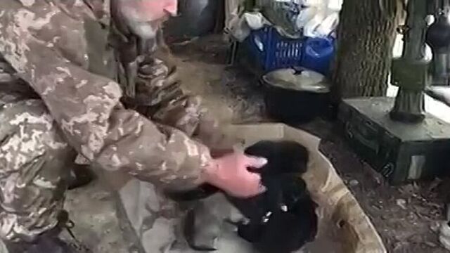 Доброго раночку, україно! 