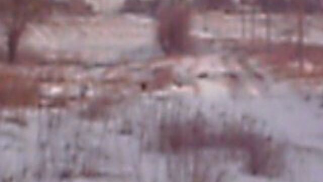 Погода в нижних серогозах)