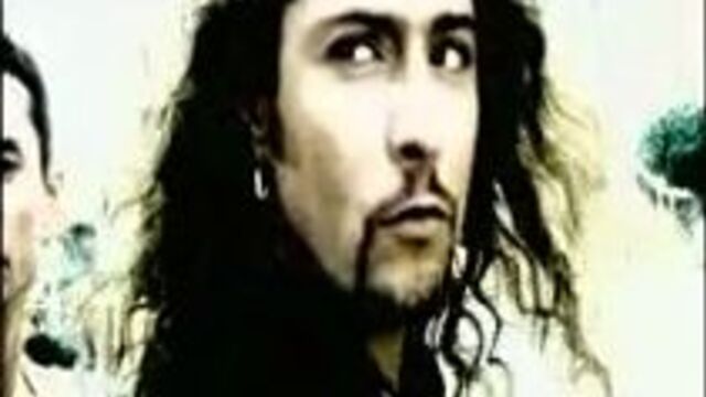 Короли ночной вероны. на французском.