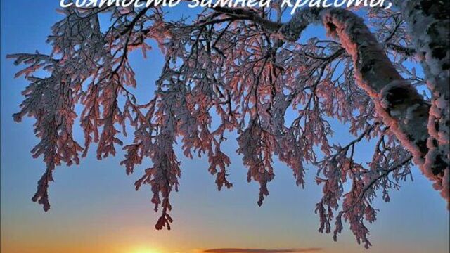 Фредерик шопен нежность э.житкова