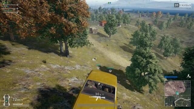 Приколы папг