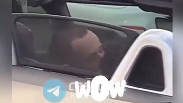 Карамбейби и славка