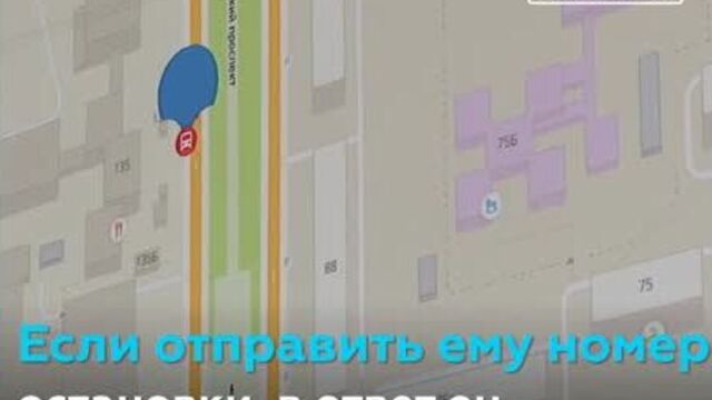 В кирове в ноябре цдс запустит бота