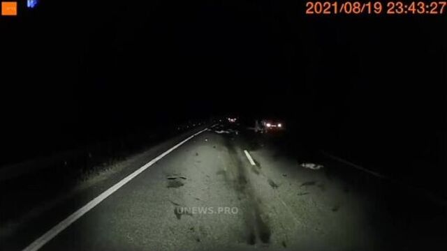 Video by типичное молодечно