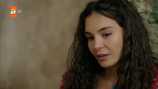 Эбру шахин — bahçede yeşil çınar