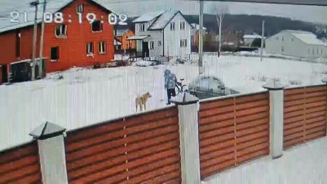 Video by подслушано во владимире