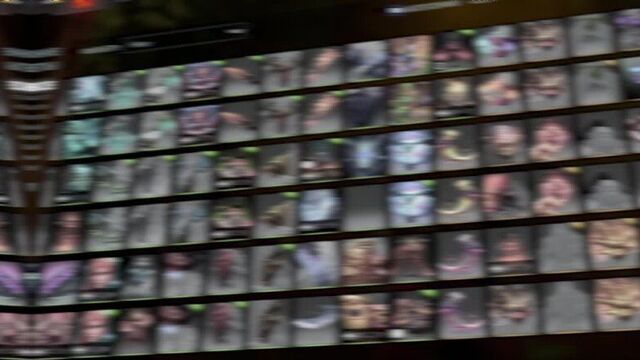 Inventory changer — что это такое?