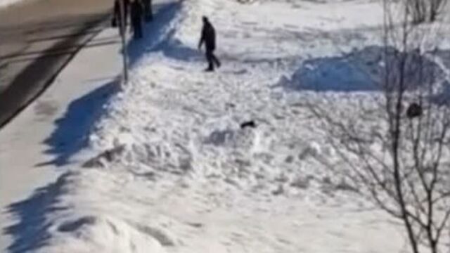 Video by инцидент - жесть