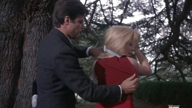 Catherine deneuve belle de jour 1967