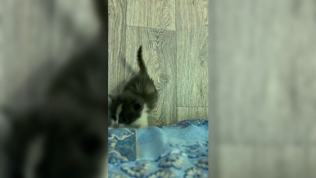 Video by поможем друг другу|калмыкия