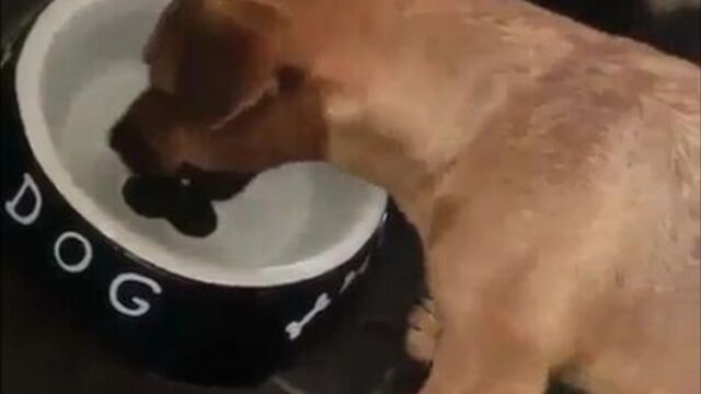 Так блэт [ https://vk.com/cinelux ]