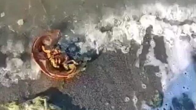 Video by чп миасс