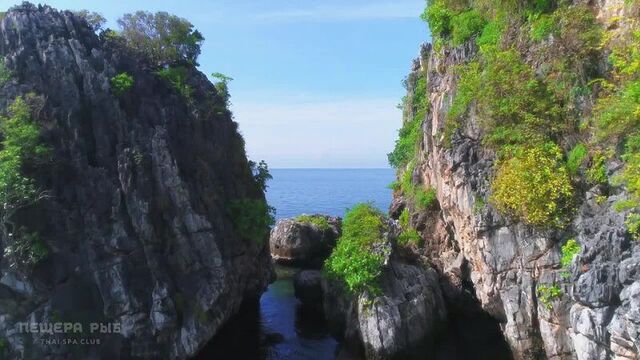 Пещера рыб. китай-город. мск.