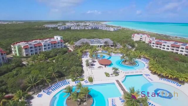 Starfish cayo santa maria 5 (куба)