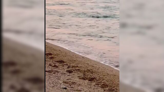 По-настоящему доброе морское утро