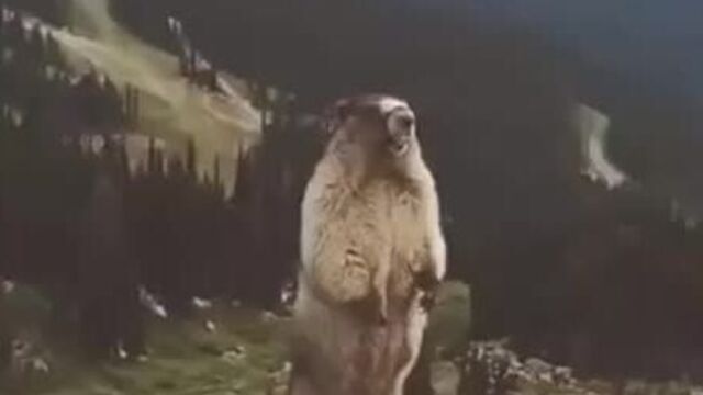 Video by alexey skail