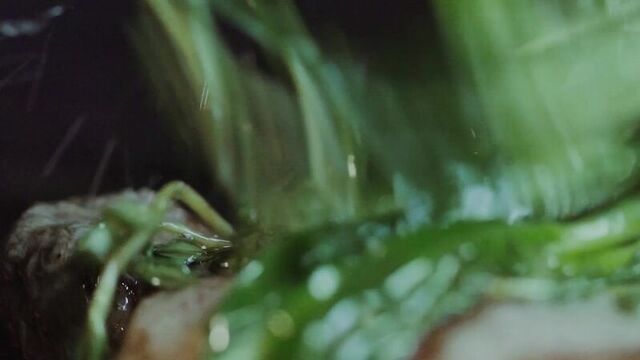 Паруса на крыше - романтический ресторан №1 в санкт-петербурге.