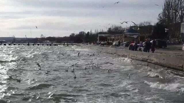 Live: керчь инфо