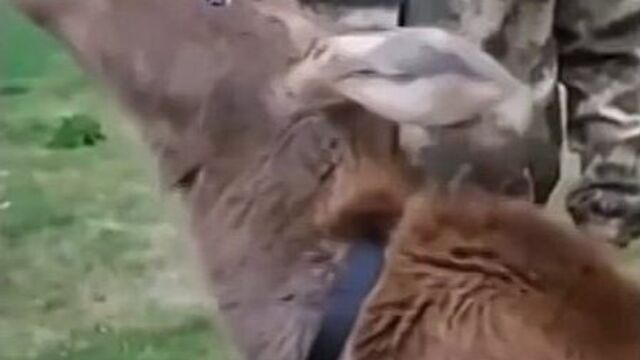 Video by о, сургут!