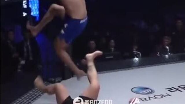 Мишель перейра