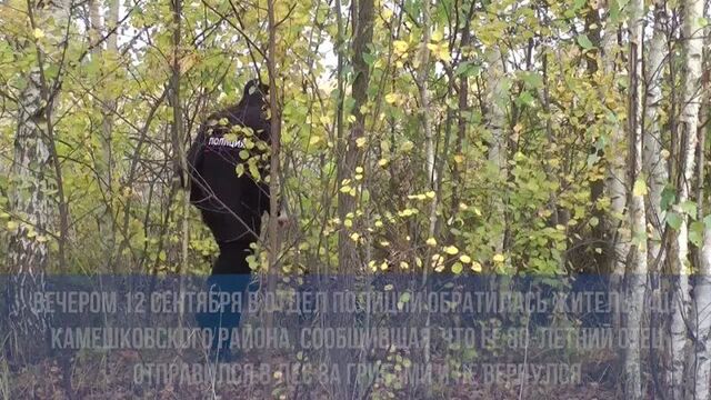 Video by подслушано камешково