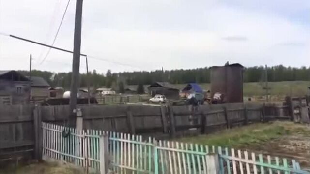 Жив цел орел