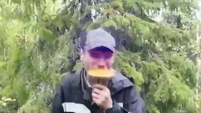 Грибабас - гроза грибов (best vine video)