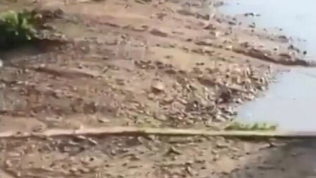 Video by подслушано пушкино и мытищи