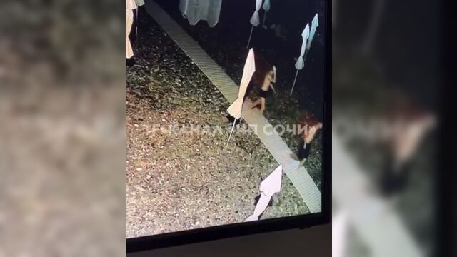 Заступился и убил.