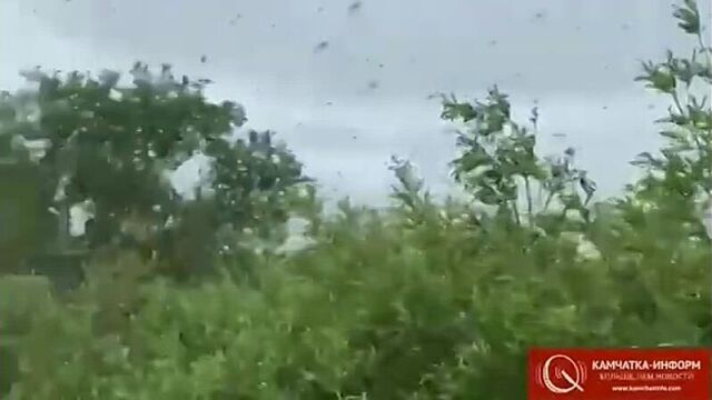 Подслушано в красноярске