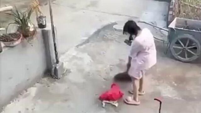 Произошел вумен момент.