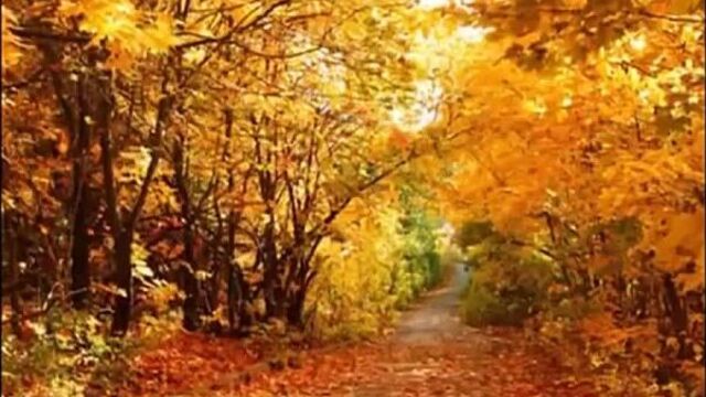 Я подарю тебе любовь, я научу тебя смеяться!