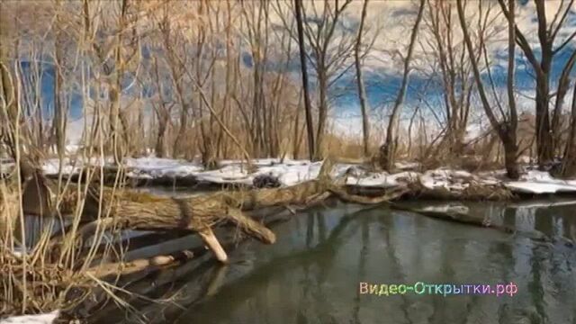 Видео - открытка с первым днем весны - поздравление на 1 марта