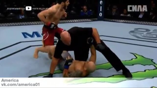 Ислам махачев глейсон тибау